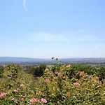 Amazing Villa Assise