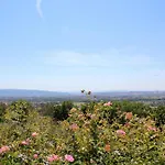 Villa Amazing Assise