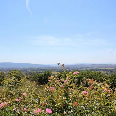 Amazing Assisi Вилла Ассизи