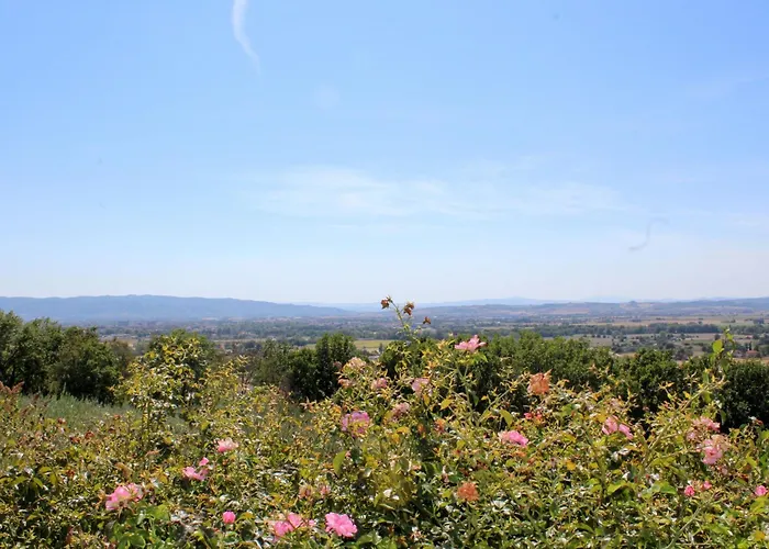 Amazing Villa Assisi